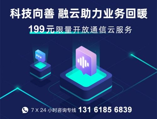 互聯(lián)網(wǎng)通信云PaaS選型開(kāi)發(fā)者必備指南 網(wǎng)絡(luò)與信息技術(shù)服務(wù)的考量